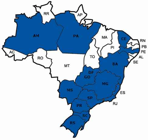 Estrutura Técnica